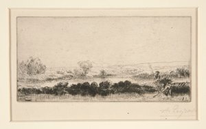 Paesaggio di Tourbieres: Nelle paludi