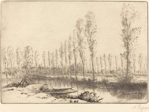 Pioppi vicino ad Amiens da Alphonse Legros