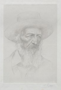 Ritratto di Alfred Lord Tennyson