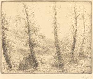 Piccolo lago da Alphonse Legros