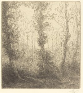 Piccolo lago (Le petit lac) da Alphonse Legros