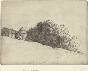 Gruppo di alberi