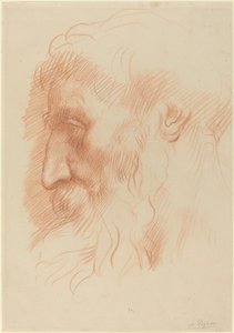 Studio della testa di un uomo da Alphonse Legros