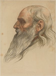 Studio della Testa di un Uomo con Barba Folta