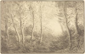 Alba, boschi di Clamard