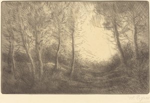 Alba, boschi di Clamard da Alphonse Legros