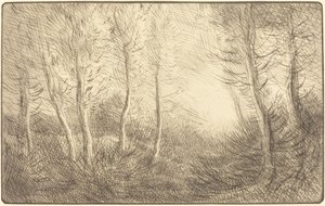 Alba, boschi di Clamard da Alphonse Legros