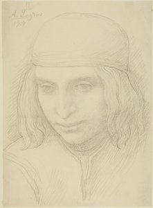 Testa di giovane ragazza