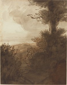 Il grande albero