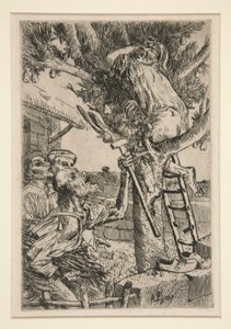 Il ladro di pere, n. 2