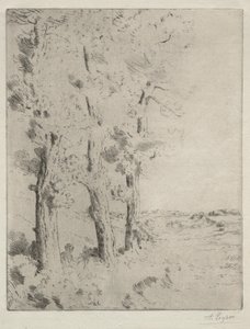Il Lettore: La Lezione sotto gli Alberi da Alphonse Legros