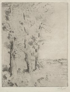 Il Lettore: La lezione sotto gli alberi, c. 1882 da Alphonse Legros