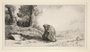 Il viandante