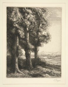 I tre alberi