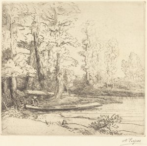 Alberi al bordo dell