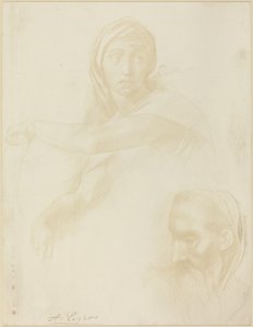 Studio della Sibilla Delfica; Testa di un uomo