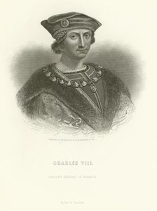 Carlo VIII da Alphonse Marie de Neuville