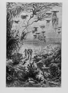 Illustrazione da 