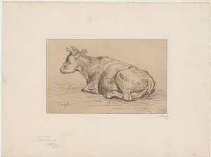 Mucca sdraiata da Alphonse Stengelin (signed by artist)