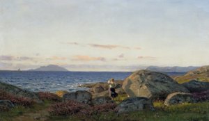 Da Stavenes, fiordo di Sønd da Amaldus Nielsen