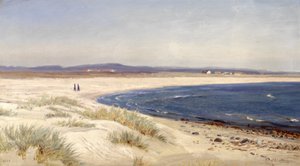 Norvegese:  Mennesker på en strand Persone su una spiaggia da Amaldus Nielsen