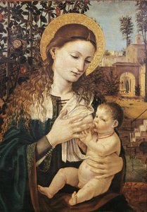 Madonna del Latte, di Ambrogio Bergognone