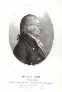 Martin Vahl da Ambroise Tardieu