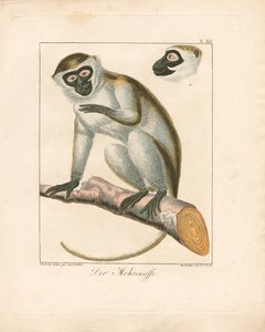  da Ambrosius Gabler