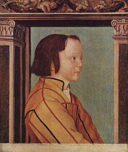 Ragazzo con capelli castani
