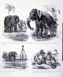Illustrazione per L