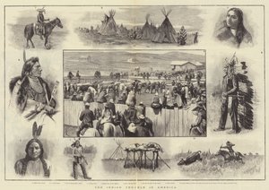 Il problema indiano in America