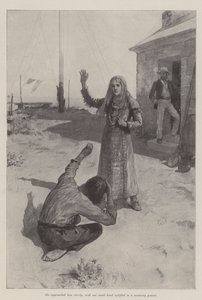La sirena di Lighthouse Point, di Bret Harte