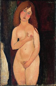 Venere o Nudo in Piedi o Nudo Medici