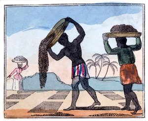 Concimazione, 1826