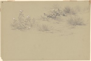 Cespuglio fiorito e piante del deserto da American 19th Century after John Frederick Kensett