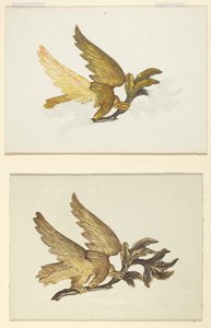 Aquila da American 20th Century