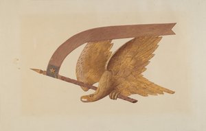 Aquila