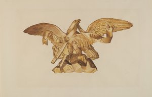 Aquila dalla USS Enterprise