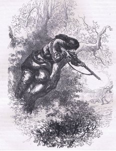 Tiratore americano su un albero, illustrazione da Cassells History of the United States pubblicata da Cassell, Petter & Galpin, c.1900 da American English school