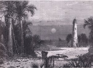Veduta della costa della Florida, illustrazione da Cassells History of the United States pubblicata da Cassell, Petter & Galpin, c.1900 (litografia)