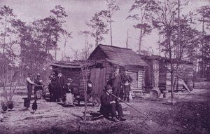 Un campo di consumptivi, vicino al Lago Worth, Florida da American Photographer (after)