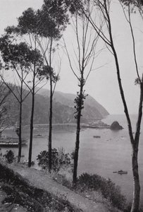 California: Baia di Avalon, Isola di Santa Catalina, terra magica sul Pacifico a 30 miglia dalla terraferma della California meridionale da American Photographer (after)