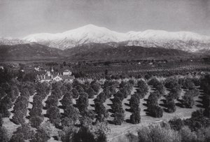 California: Redlands, da Smiley Heights, sole, aranceti e cime innevate da American Photographer (after)