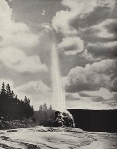 Geyser Lone Star, Yellowstone, Wyoming