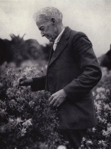 Luther Burbank tra i suoi fiori