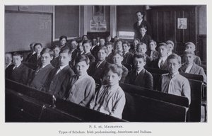 Indagine sulla scuola di New York