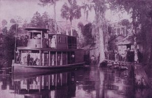 Sul fiume Ocklawaha, Florida