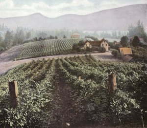 Oregon: Agricoltura diversificata nella Willamette Valley da American Photographer (after)