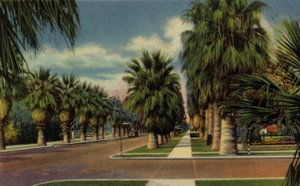Phoenix, Arizona: North Central Avenue (foto) da American Photographer (after)