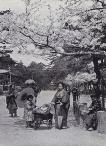 Sotto i fiori di ciliegio nel Parco Shiba, Tokio da American Photographer (after)